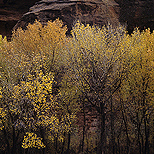 Utah, 1996, FUJICHROME Sensia 100, 35mm